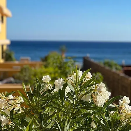Apartment In Playa Calera - Swimming Pool *