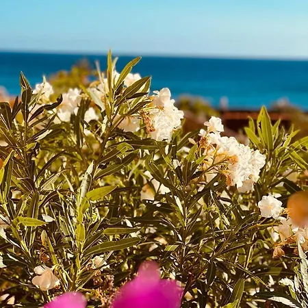 In Playa Calera - Swimming Pool Apartament *